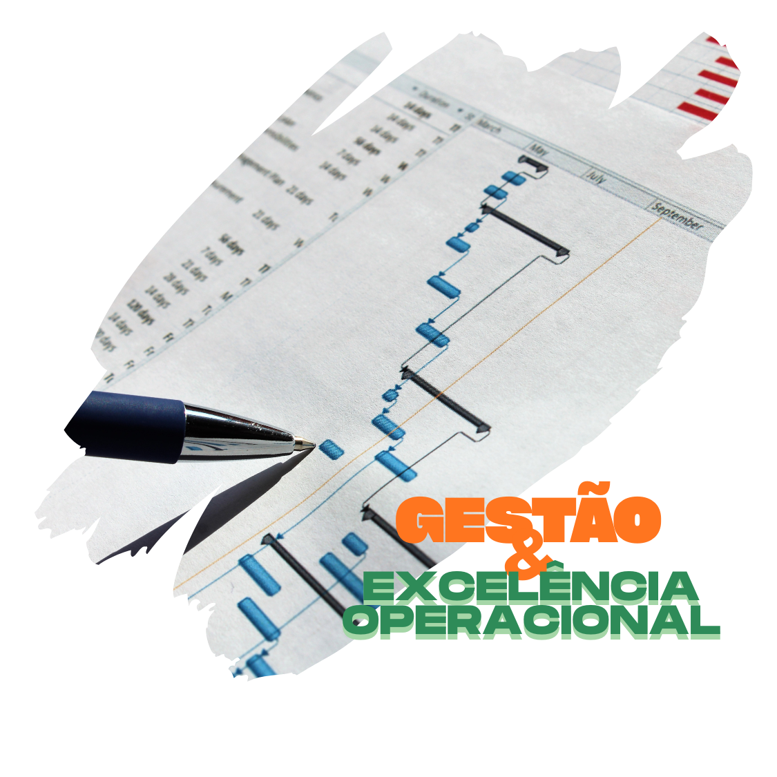 Gestão & Excelência Operacional