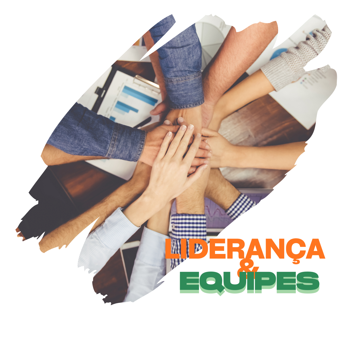 Liderança & Equipe